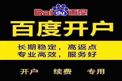 百度推广实战：成功案例解析